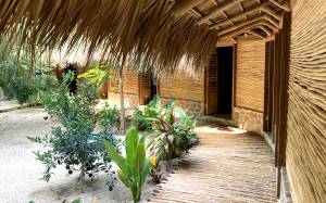 Coline MARGUIN - COLORAMA DESIGN